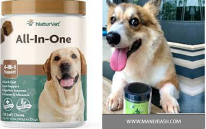 natural multivitamins for dogs