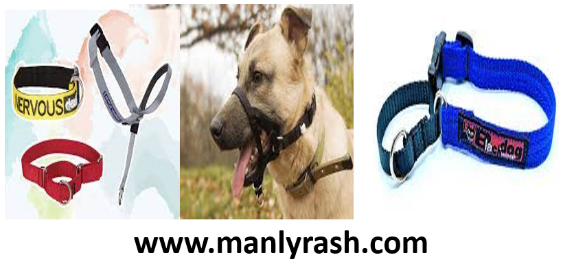 dog training collars,
