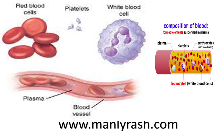 Red Blood Cells,White Blood Cells