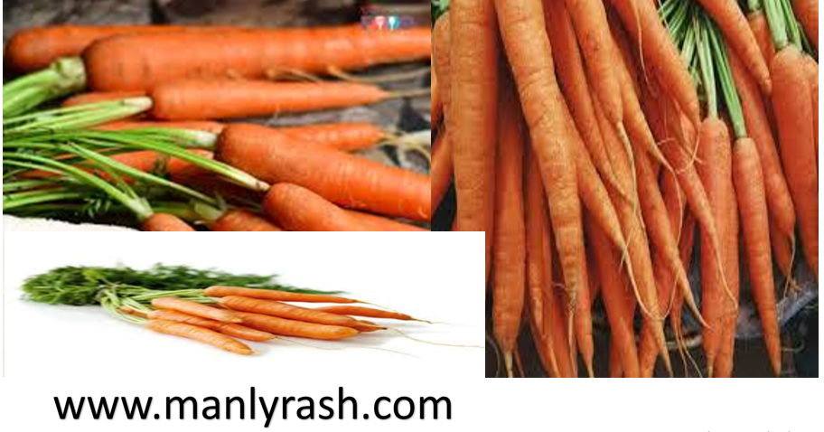 Carbs In Carrots