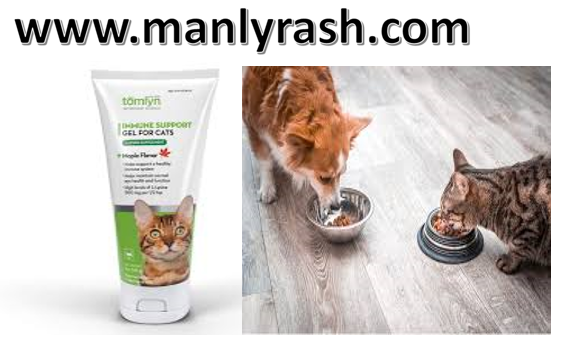 Lysine For Cats